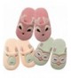 Slippers Unisex Slippers for Toddlers - Playful Fox - CH12525V0M1 $41.91
