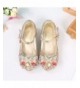 Dance Girls Cosplay Dress Wedding Party Shoes Glitter Sequins Low Heel Mary Jane Princess Shoes - Gold - CK18HO5R8WO $40.19