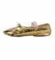 Dance Ballet Slippers Canvas Dance Gymnastics Yoga Shoes Flats for Girls(Women/Big Kid/Little Kid/Toddler) - Gold - CK12OCVYG...