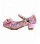 Flats Flower Girls Dress Wedding Party Bridesmaids Heel Mary Jane Princess Shoes - Pink - C918IEMKATM $43.79