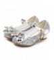 Sandals Flower Girls Dress Wedding Party Bridesmaids Heel Mary Jane Princess Shoes - Sliver - C418NZA6M5S $45.92