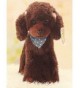 Slippers Squeezable Stuffed Poodle Dog Soft Plush Toy Pillow Pink - Brown - CC188MKXTML $42.56