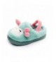 Slippers Toddler Kids Indoor Cute Slippers for Girls Boys Plush Soft Cartoon Bedroom House - Green-bird With Band - CJ18I452E...