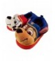 Slippers Paw Patrol Chase and Marshall Slippers for Boys or Girls Blue - CD185YKSYS5 $28.02