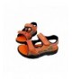 Sport Sandals (TRex) Dinosaur Sports Sandals for Children/Little Kids/Boys - CF18E39GH92 $53.85